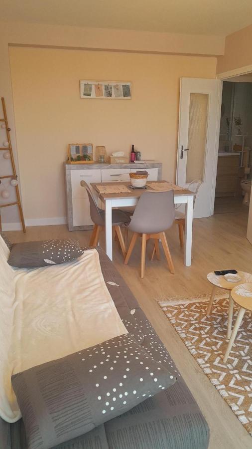 Chateauroux : Bel Appartement Avec Balcon ภายนอก รูปภาพ